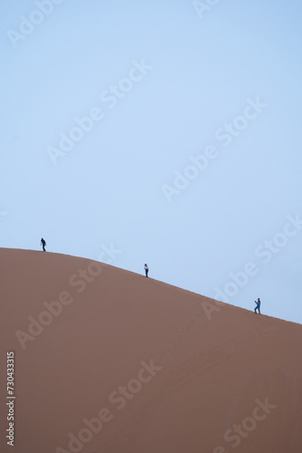 sand dunes in the desert