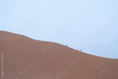 Fototapeta Naklejka Na Ścianę i Meble -  sand dunes in the desert