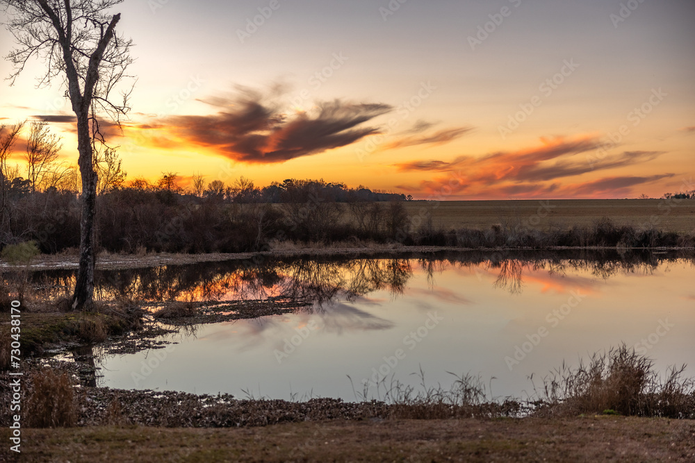 Naklejka premium A beautiful country pond at sunset with a tree taken in the winter