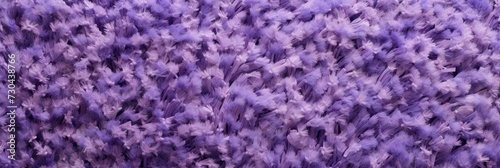 Lavender plush carpet