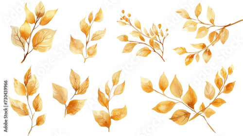 Watercolor set of branches with golden leaves isolated transparent background. PNG Format.
