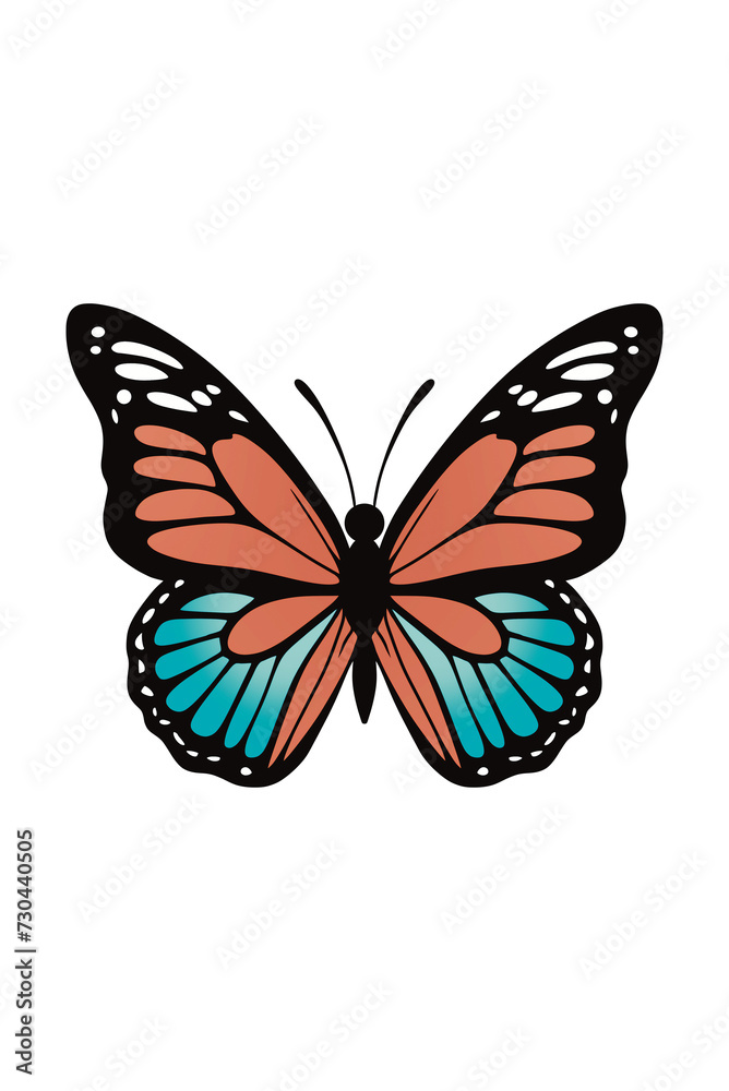 illustration of a butterfly illustration of a butterfly