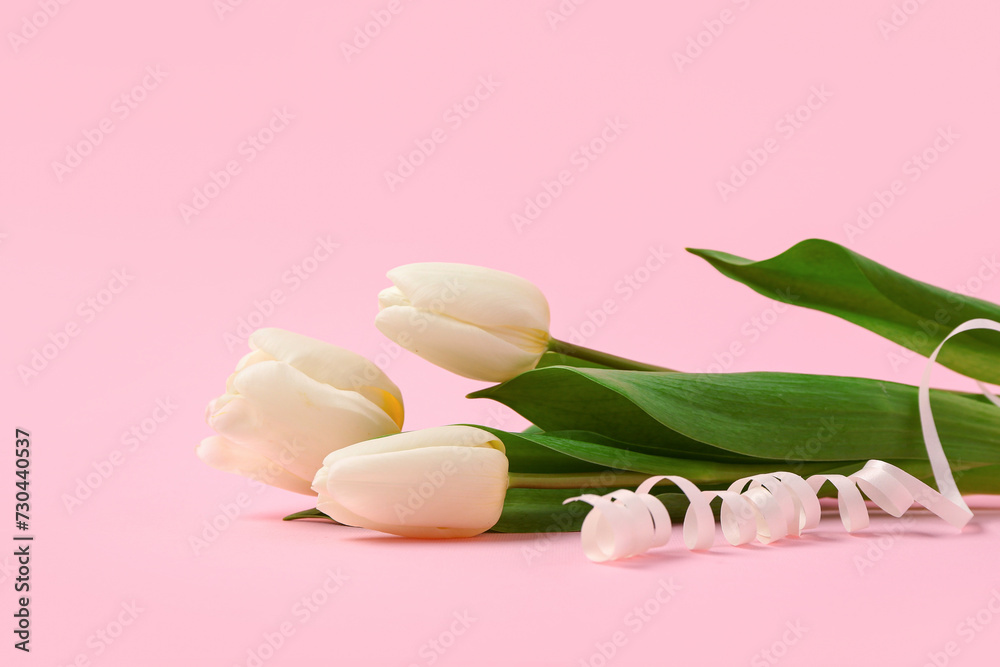 Beautiful white tulips on pink background. International Women's Day Beautiful white tulips on pink background. International Women's Day