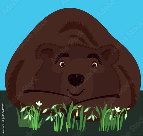 The bear looks tenderly at the snowdrops. Snowdrop Day. Vector greeting card with the beginning of spring.