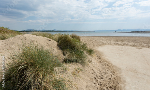 Sunny beach and dune grasses.