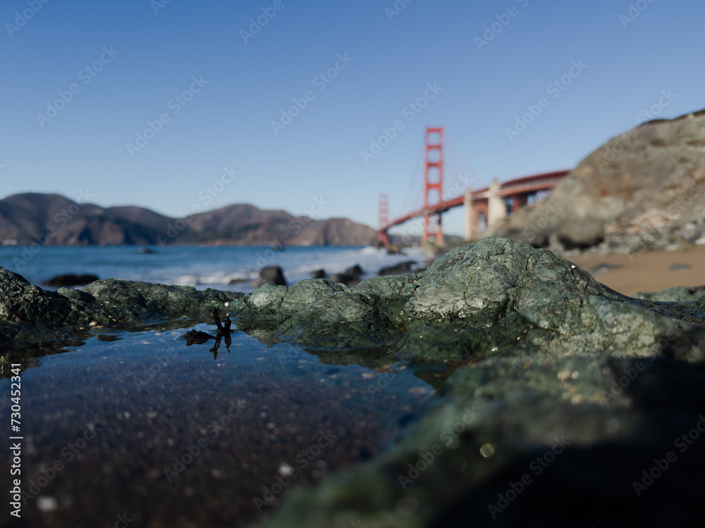 In the foreground, a closeup of a tide pool along a beach in San Francisco. In the background, the Golden Gate Bridge dominates the landscape, showing the fragility of the Bay Area ecosystem. In the foreground, a closeup of a tide pool along a beach in San Francisco. In the background, the Golden Gate Bridge dominates the landscape, showing the fragility of the Bay Area ecosystem.