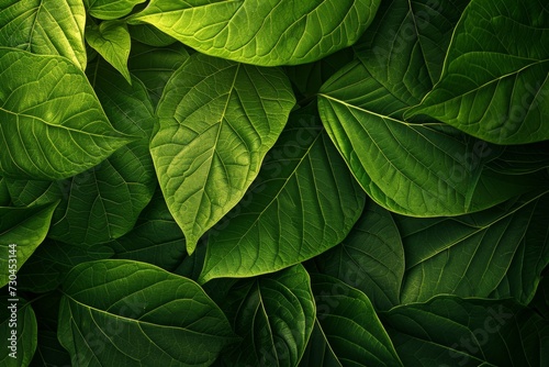 plant leaves green background Generative AI