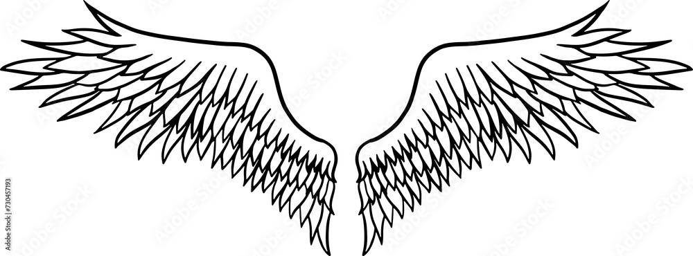 The wing drawing for tattoo or decoration concept. The wing drawing for tattoo or decoration concept.