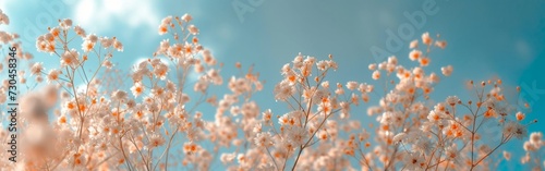 white flowers with dark clouds against a blue sky in the style of bokeh panorama Generative AI © SKIMP Art