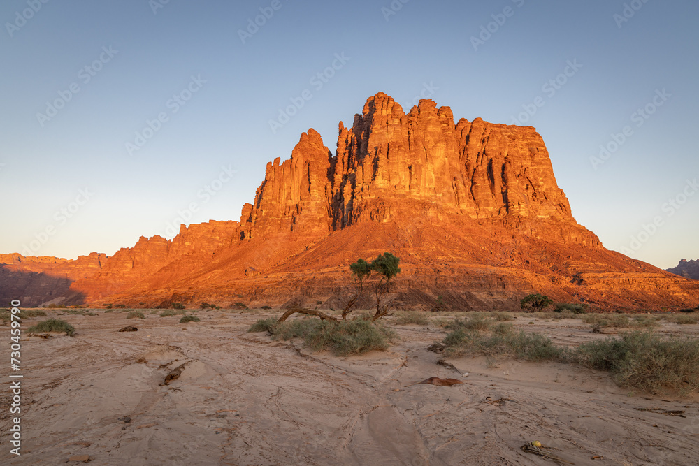 Desert landscape in the Prince Mohammed bin Salman Natural Reserve.