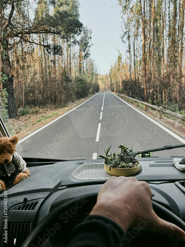 Fotografie One man pov or his hands driving a vehicle on a long scenic trees asphalt road