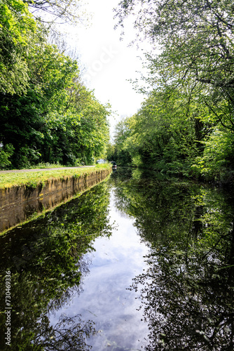 Tranquil Journey: A Boat Amidst Greenery on a Calm Canal