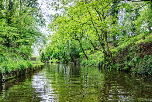 Tranquil Moments on the Llangollen Canal, Wales