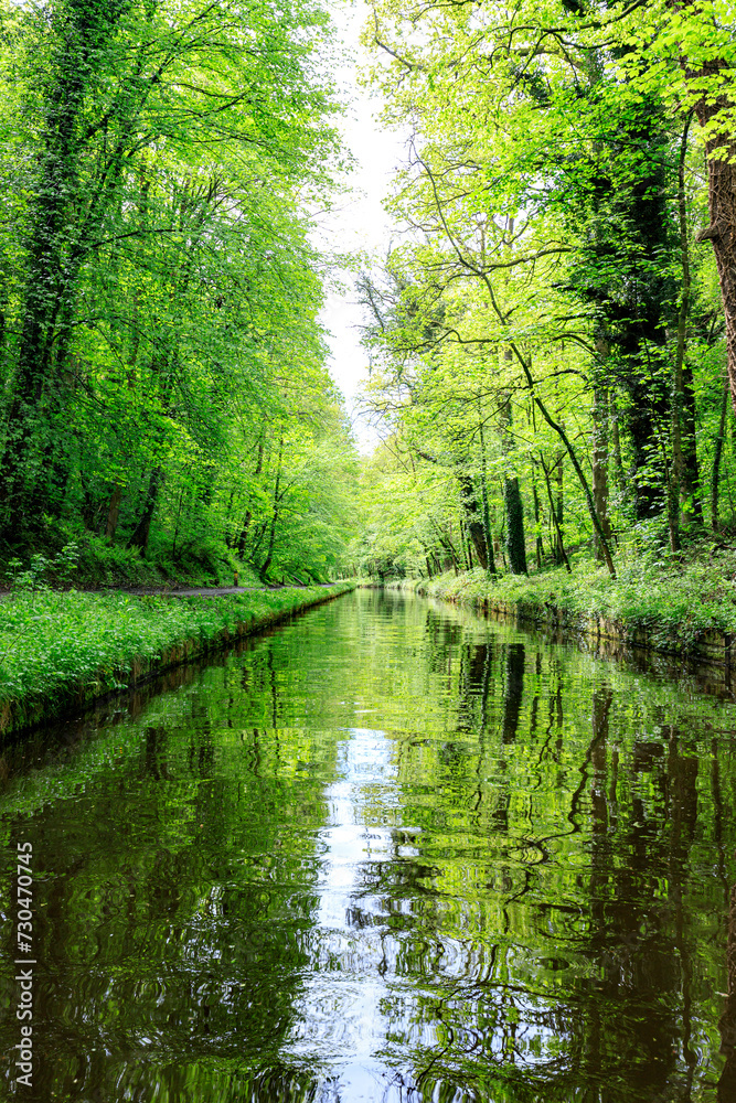 A Peaceful Day at the English Canal with a Moored Boat Amidst the Lush Green Forest