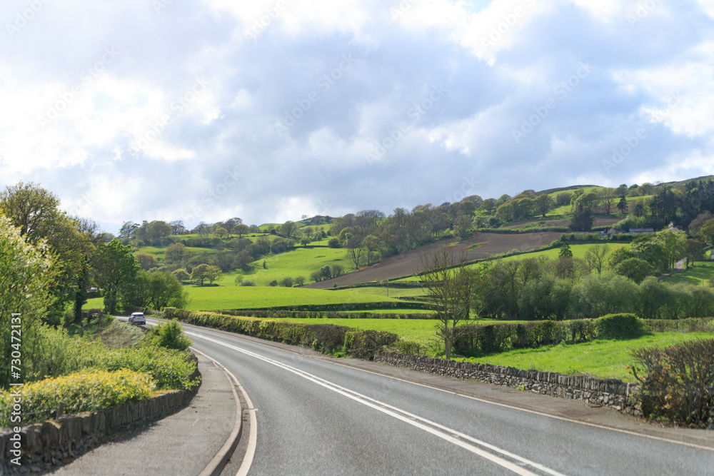 A Peaceful Drive Through Vibrant Countryside Scenery