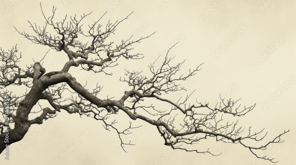 Japanese aesthetic with branches generative ai