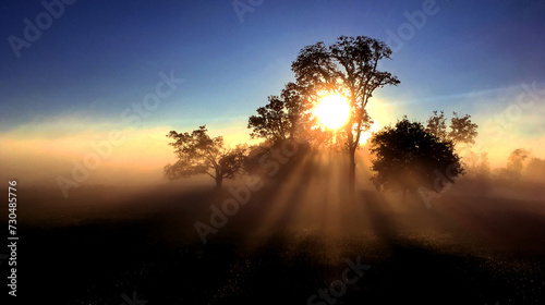 Foto The sun rises on a farm in Franklin, Tennessee.