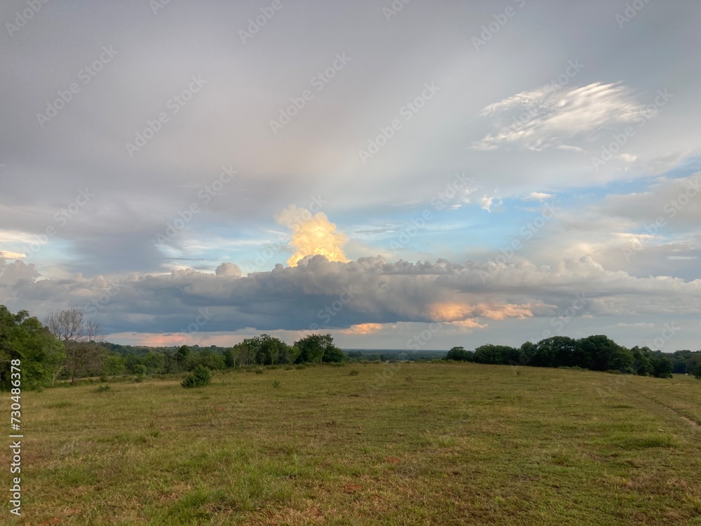 Atardecer hermoso con visos rojos de sol en la llanura Atardecer hermoso con visos rojos de sol en la llanura