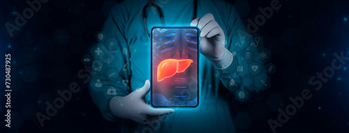 Color image of the liver on an x-ray. The hematologist studies liver cirrhosis and hepatitis. Scene of a doctor with tablet on blue technological background.