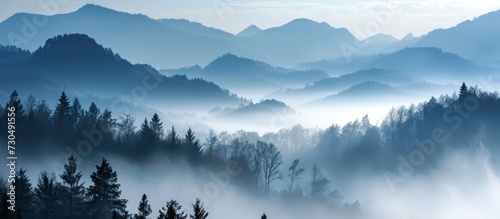 Nature's symphony unfolds as mist envelopes mountains and trees, creating a tranquil scene of morning magic.