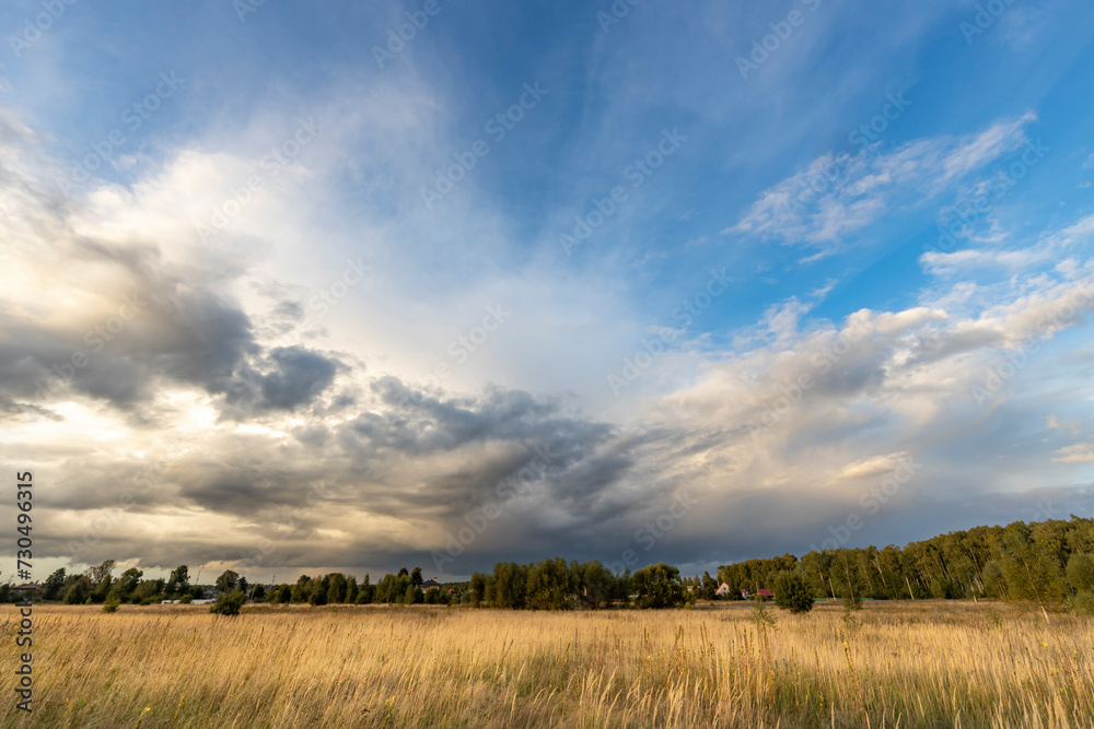 rural landscape with meadow grasses, with thunderclouds overhead on a summer evening