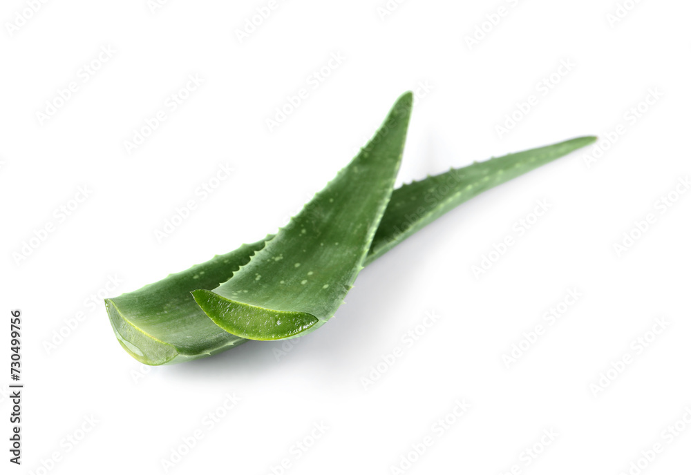 Green aloe vera leaves isolated on white Green aloe vera leaves isolated on white