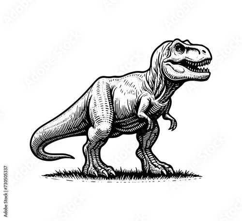 trex hand drawn vector illustration graphic asset