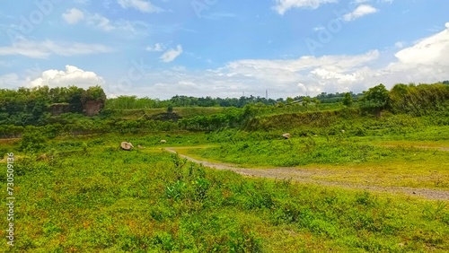 beautiful views of green nature and sky during the day