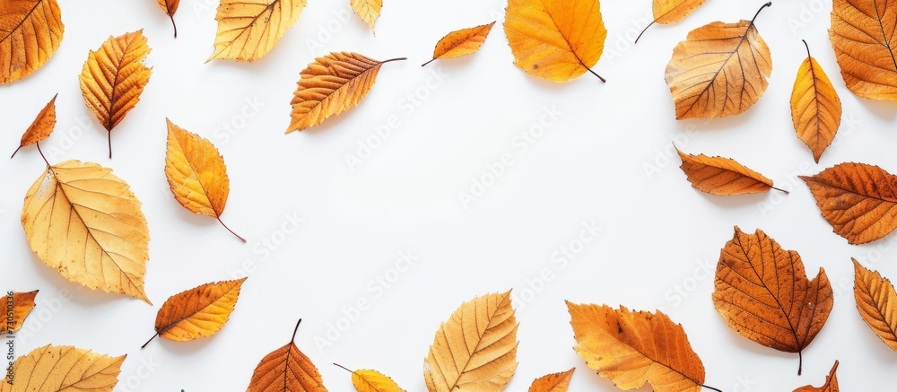 Obraz premium Autumn-themed frame with golden leaves on white background, top view.
