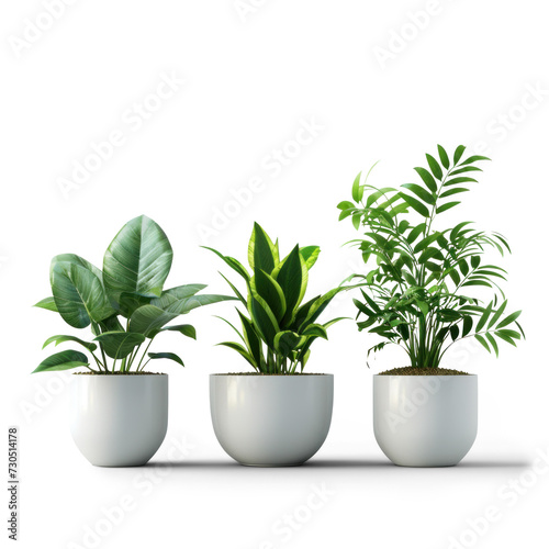 Trio of Potted Plants Isolated Design png file of isolated cutout object with shadow on transparent background.