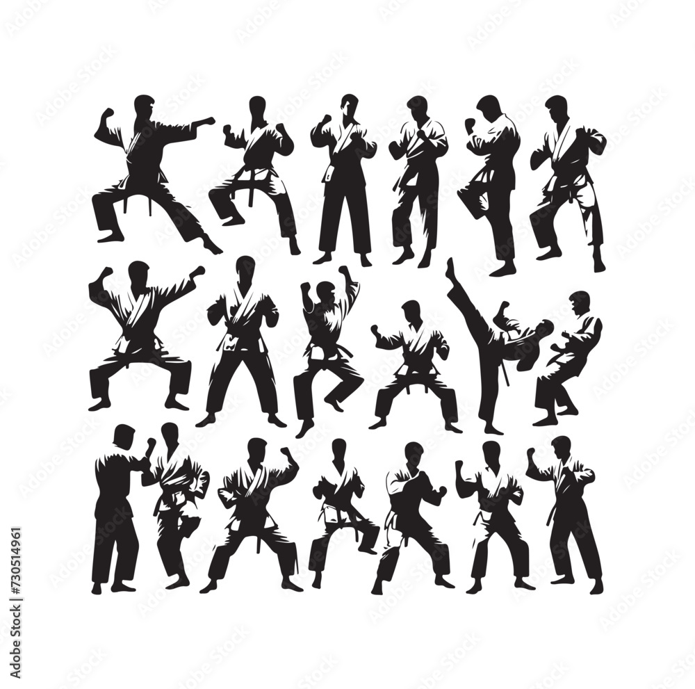 martial art Vector or karate silhouettes vector illustration Japan and  China traditional martial art. self-defense presentation symbols. body poses icons. Karate poses signs