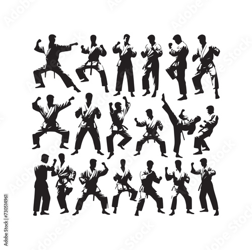martial art Vector or karate silhouettes vector illustration Japan and China traditional martial art. self-defense presentation symbols. body poses icons. Karate poses signs