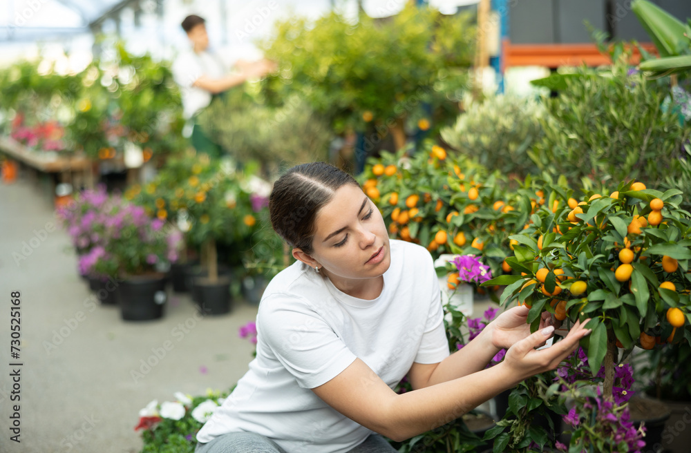 Positive young woman in casual wear checking potted Kumquat tree while buying plants for orchard in garden center