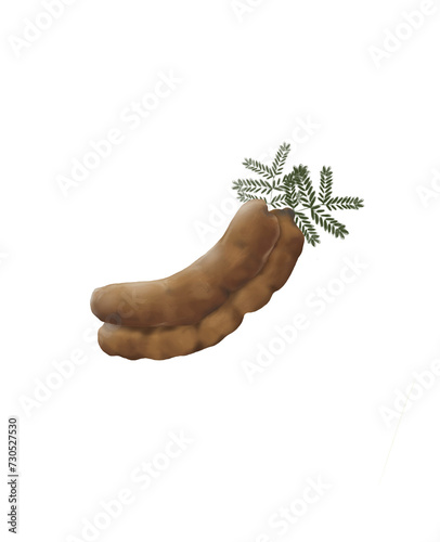 hand drawn illustration of Tamarind