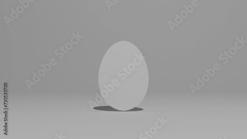 a chick born from an egg

