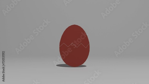 a chick born from an egg
