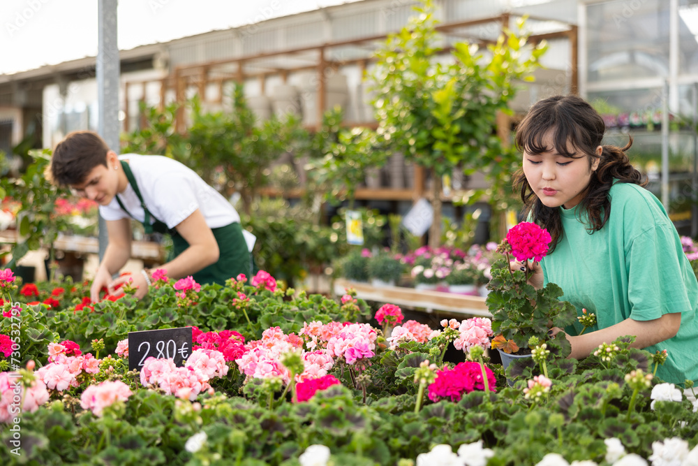 Interested young Asian girl choosing bright colorful potted geraniums for home decoration in garden store..