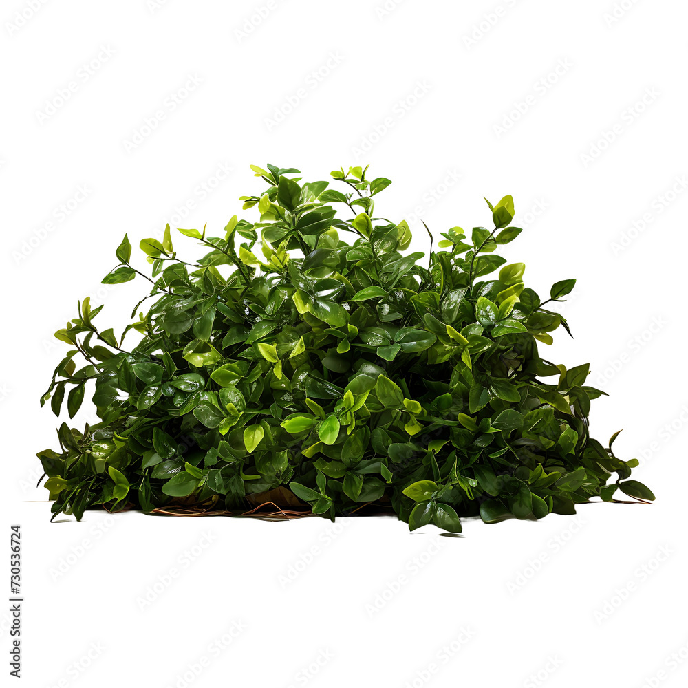 Obraz premium Lush Landscape, Transparent Canvas Featuring Bush Element