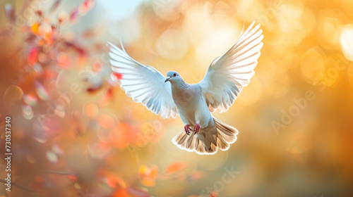 A dove soaring high  captured in mid-flight
