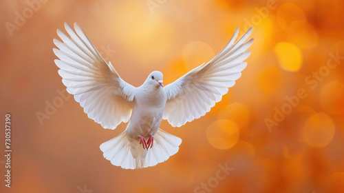 A dove soaring high, captured in mid-flight