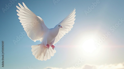 Dove's flight symbolizing peace, against the sky