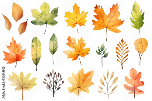 A collection of autumn leaves painting with watercolor on white background. 