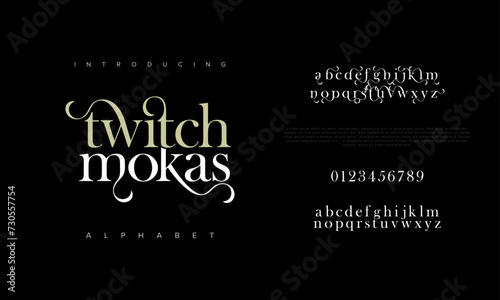 Twitchmokas premium luxury elegant alphabet letters and numbers. Elegant wedding typography classic serif font decorative vintage retro. Creative vector illustration