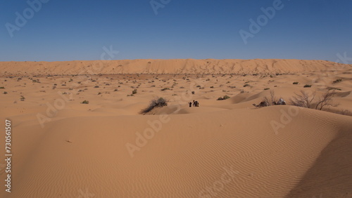 Valley surrounded by tall sand dunes in the Sahara Desert, outside of Douz, Tunisia