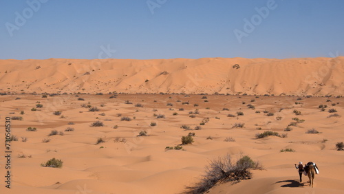 Valley surrounded by tall sand dunes in the Sahara Desert  outside of Douz  Tunisia