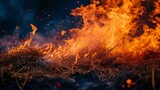 Image of a fire burning rice straw and hay.