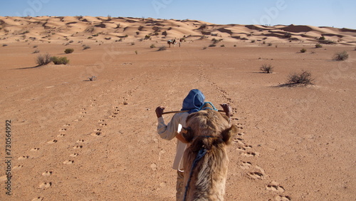 Bedouin leading a dromedary camel (Camelus dromedarius) in the Sahara Desert, outside of Douz, Tunisia, seen over the head of the camel