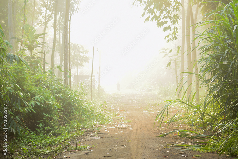 Fototapeta premium The path is shrouded in fog