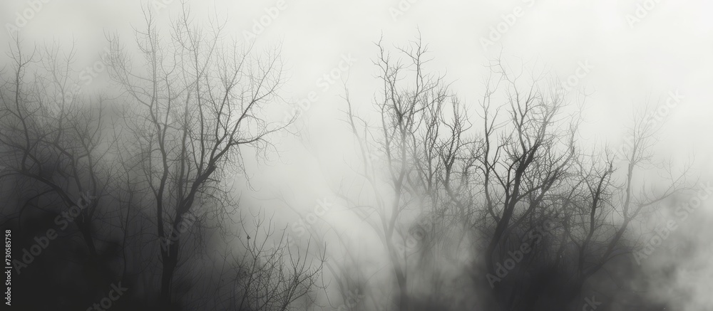 Silent and gray nature with blurred monochrome silhouettes of trees in dense fog. Silent and gray nature with blurred monochrome silhouettes of trees in dense fog.