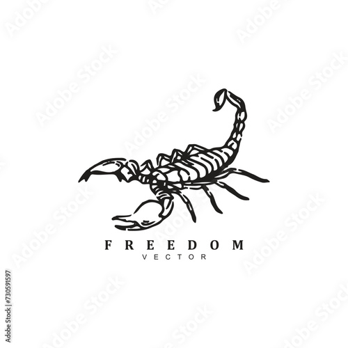 Vintage retro hand drawn scorpion vector illustration isolated on white background photo